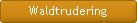 Waldtrudering
